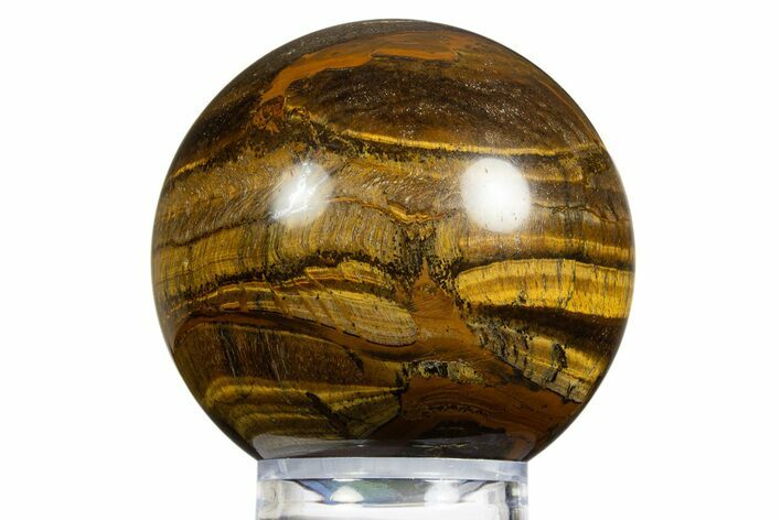 Polished Tiger's Eye Sphere - Top Quality #311754